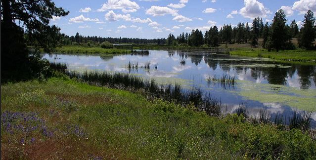 A seanic lake in Cheney, WA